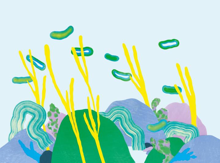 愛馬仕全新香氛 海島花園之境