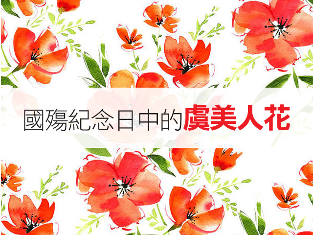 國殤紀念日中的虞美人花