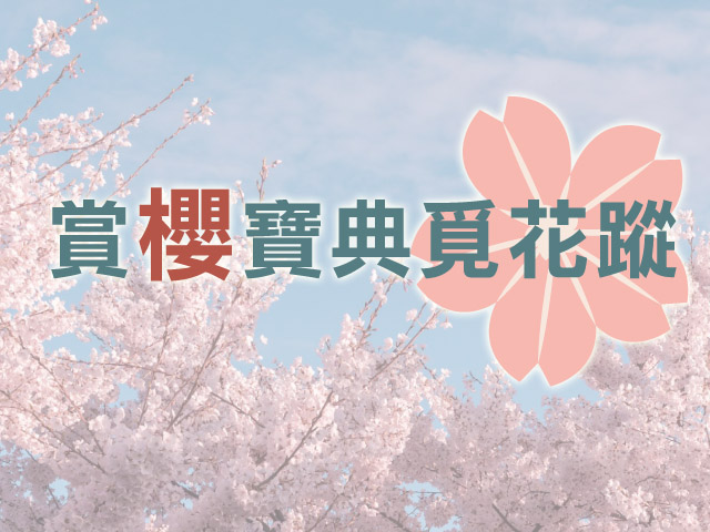 賞櫻寶典覓花蹤